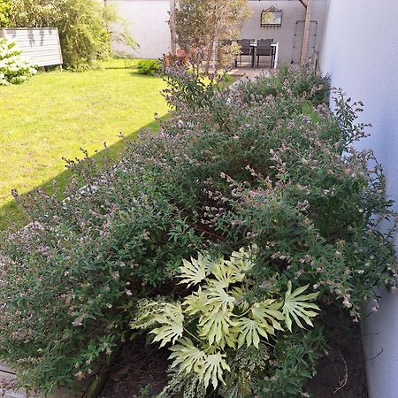 Вилла Planchesdisa Сен-Пер-сюр-Мер Экстерьер фото