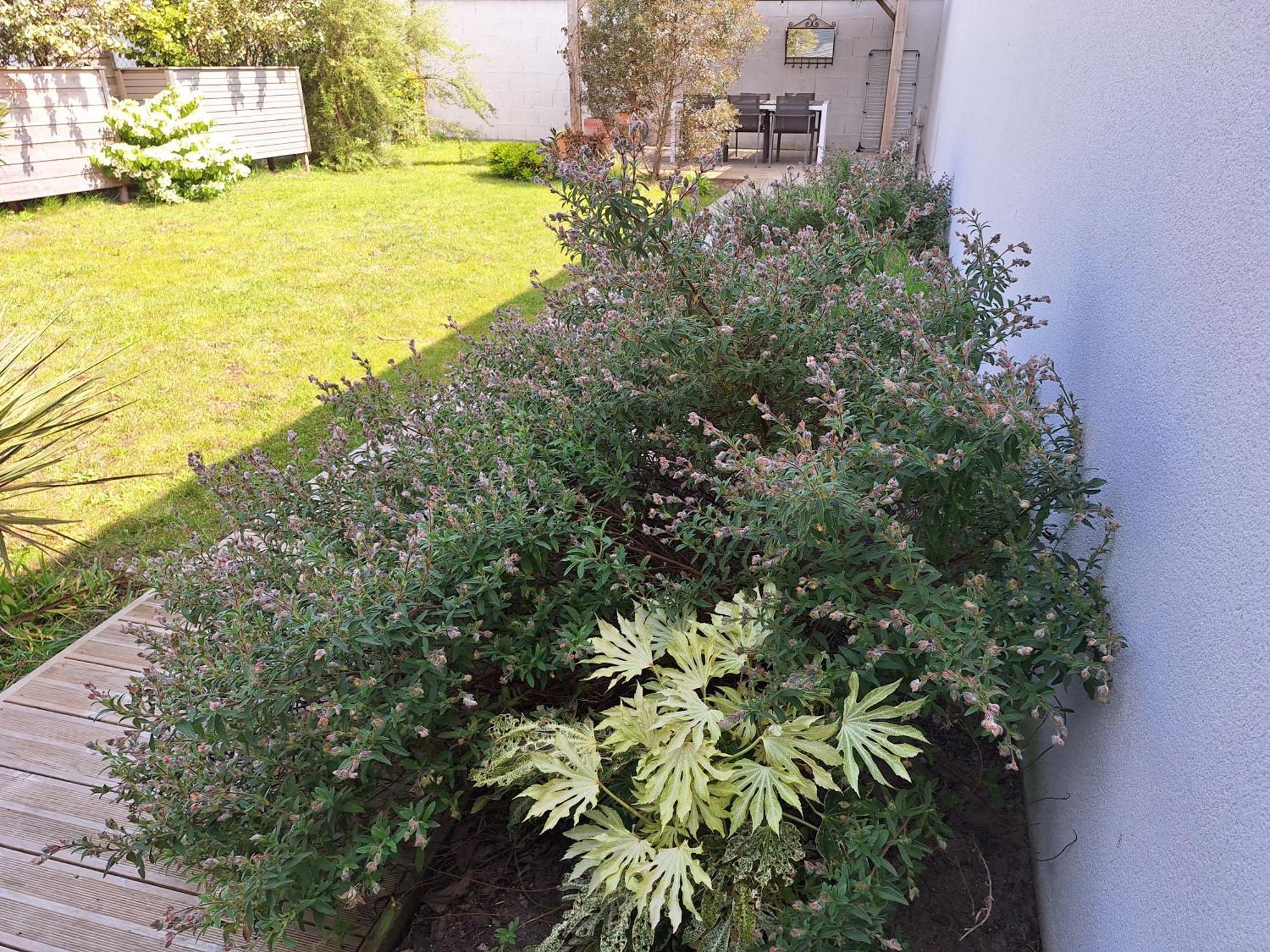 Вилла Planchesdisa Сен-Пер-сюр-Мер Экстерьер фото